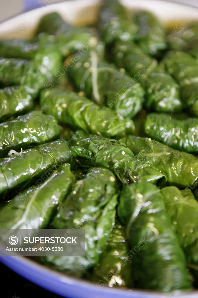 Grape Leaves Stuffed with Rice and Fresh Herbs
