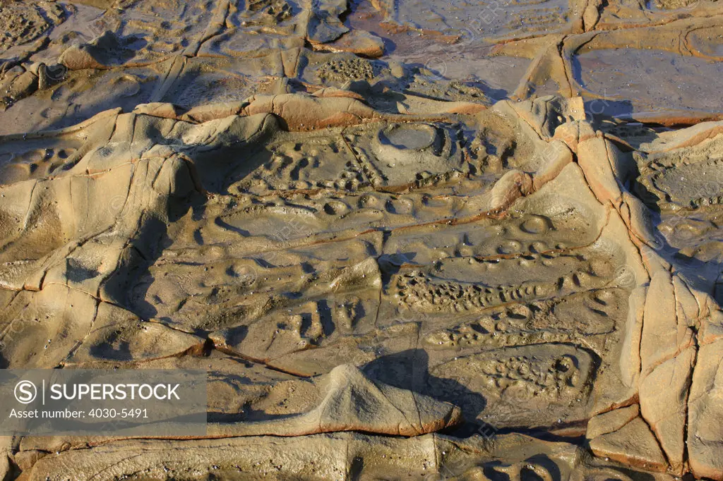 Rocks with Fossils, Wild Coast, South Africa