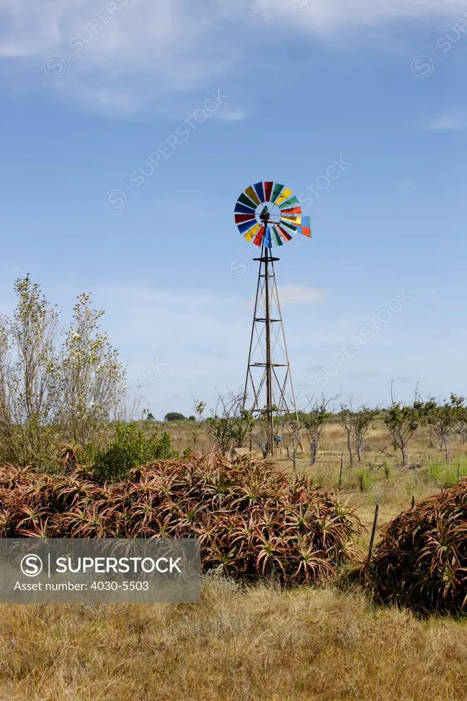 Colourful Windmill, Cape Infanta, South Africa