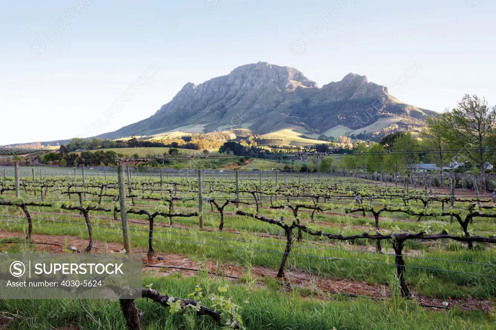 Delaire Winery, Stellenbosch, South Africa