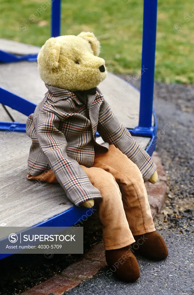Teddy Bear at the Park