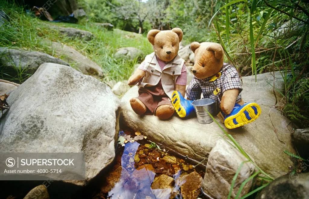 Fishing Teddy Bears
