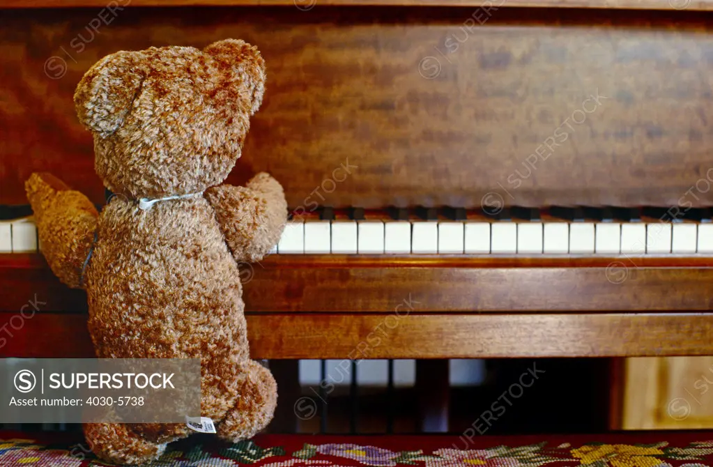 Piano playing Teddy Bear