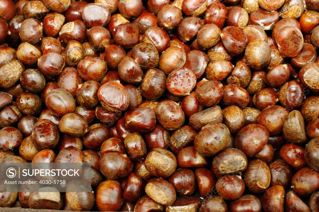 Roasted Chestnuts at Central Market, Kuala Lumpur, Malaysia
