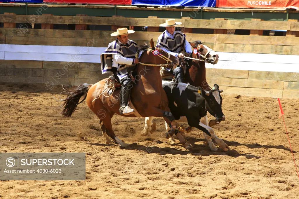 Chilean Rodeo
