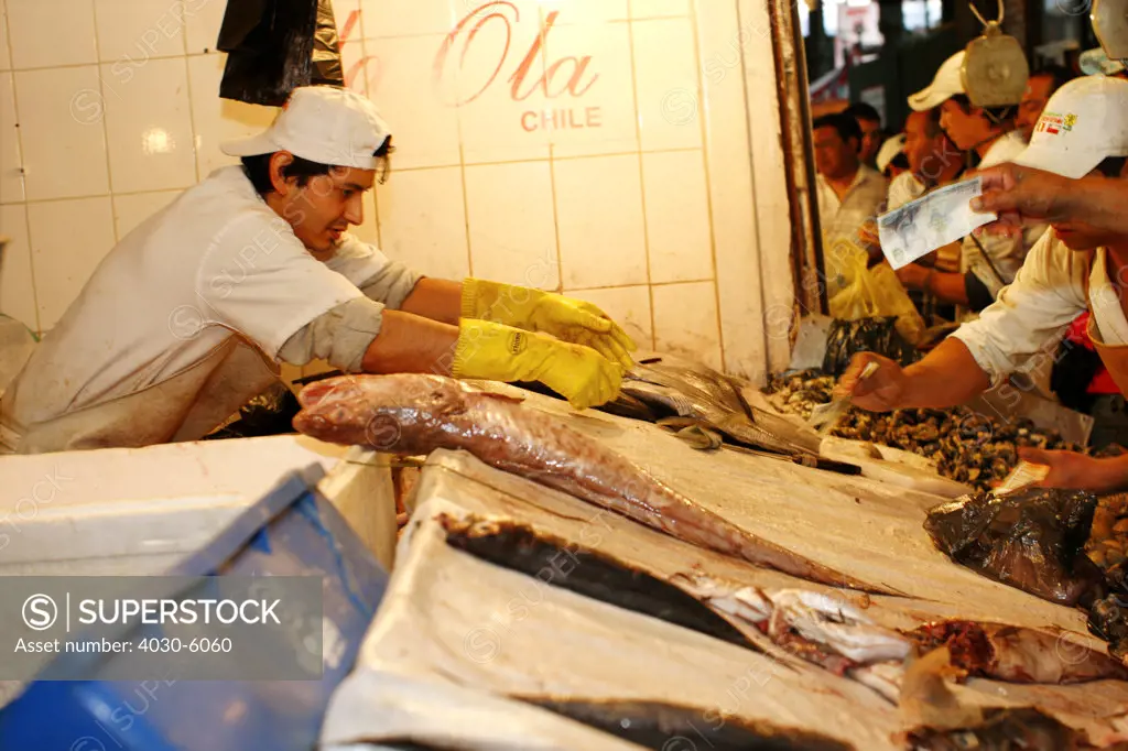 Mercado Central Fish Market