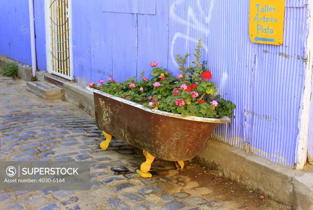 Old bath Flowerbed in Valparaiso