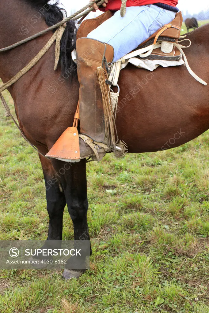 Close up of Huaso on a Horse