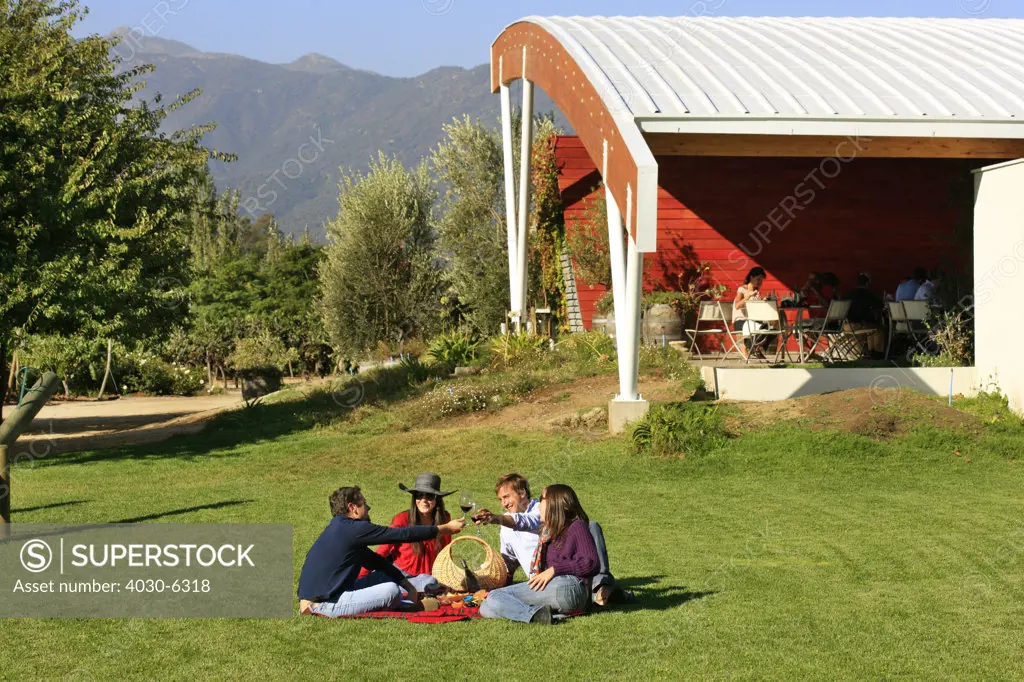 Picnic in the Winelands, Chile