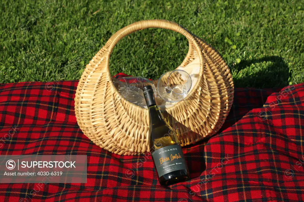 Picnic Basket and Red Picnic Blanket, Chile