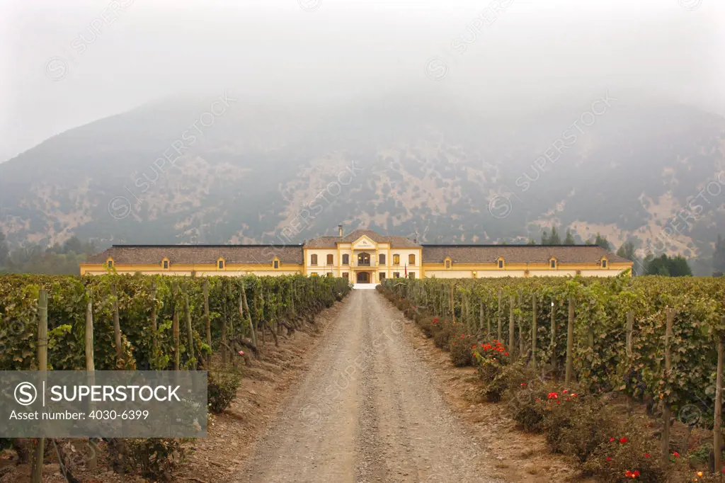 Santa Helena Winery, Chile