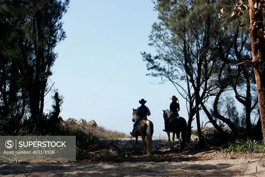 Couple sitting on horses at the edge of a forest look at the horizon