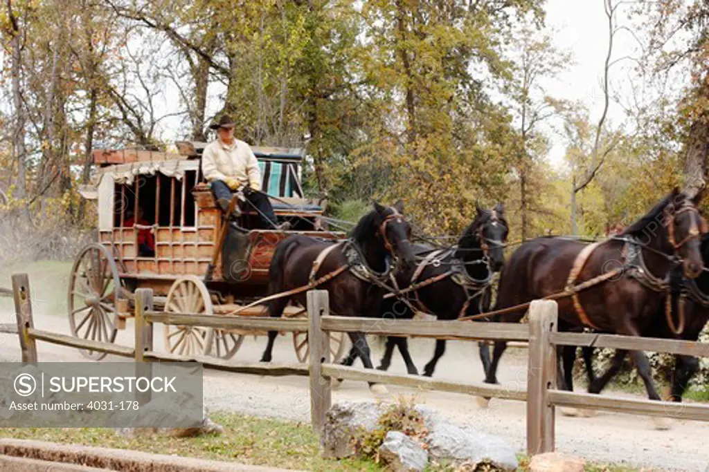 Man riding a stagecoach in a park, Main Street, Columbia State Historic Park, Columbia, Tuolumne County, California, USA