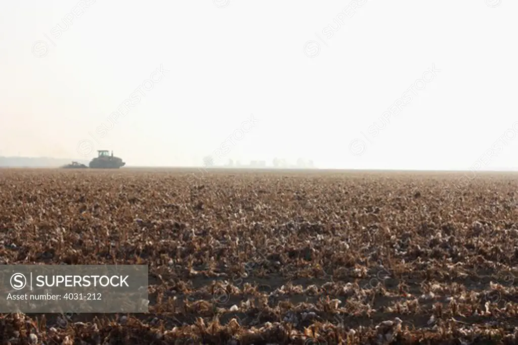 USA, California, Kern County, Plough in cotton field