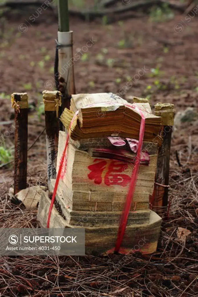 Taiwan, Kinmen County, Ghost money on ground in woods