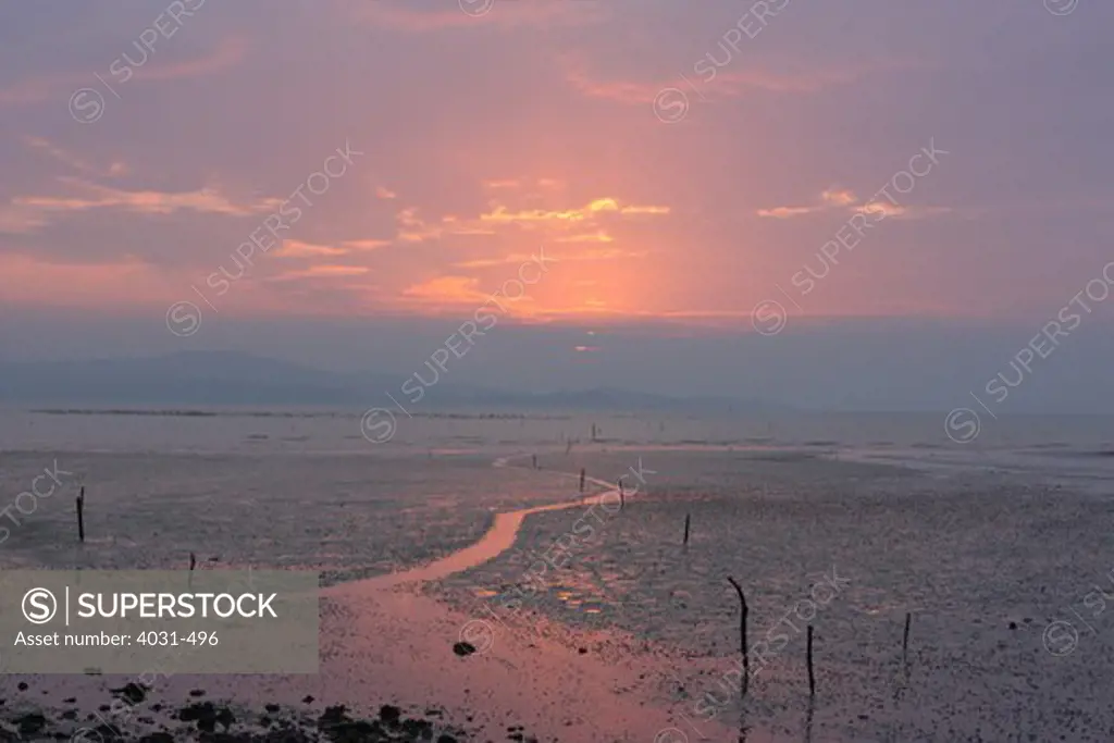 Taiwan, Jincheng, Kinmen county, Path out to oyster beds at sunset during low tide