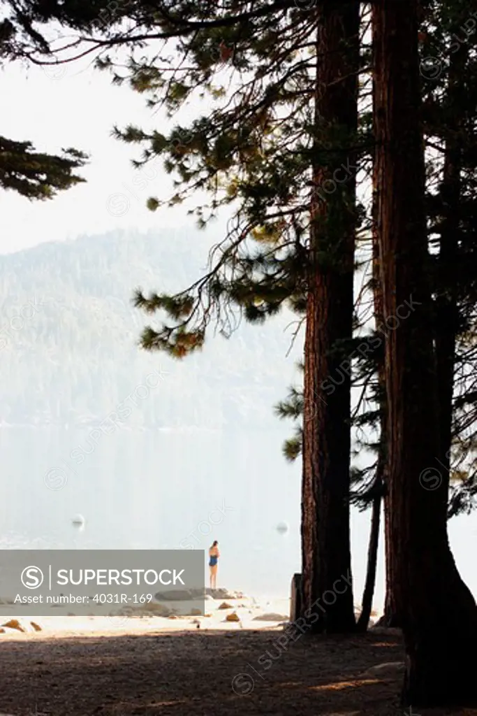 Woman standing at the lakeside for bathing, Pinecrest Lake, Stanislaus National Forest, Tuolumne County, California, USA