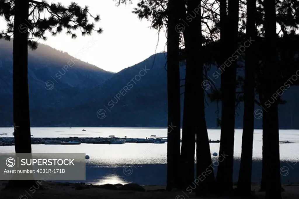 Silhouette of trees at the lakeside, Pinecrest Lake, Stanislaus National Forest, Tuolumne County, California, USA