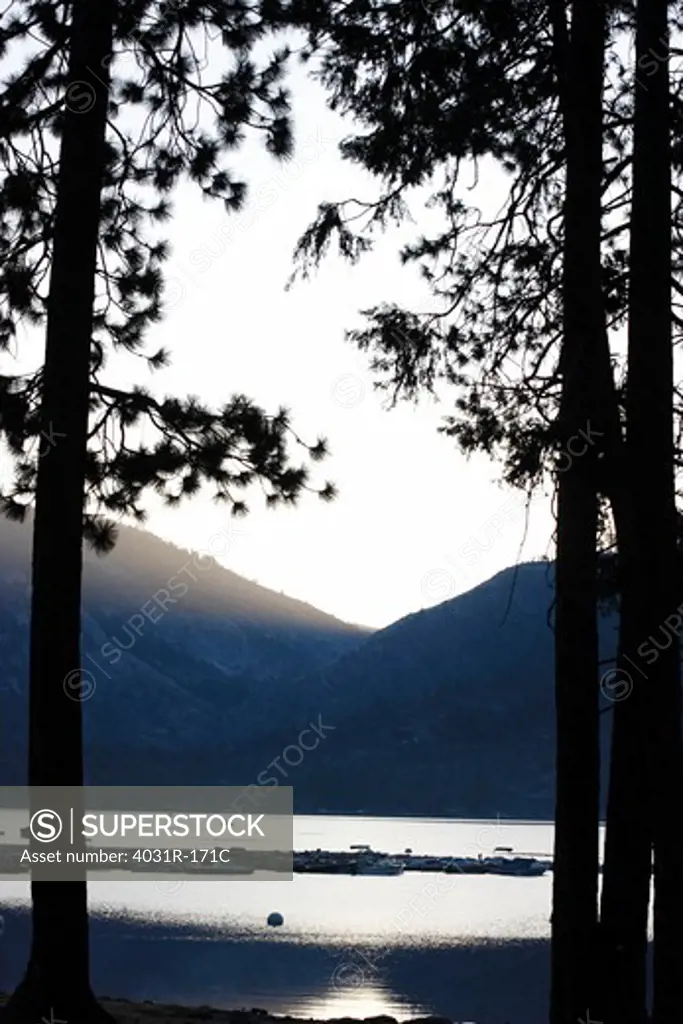 Silhouette of trees at the lakeside, Pinecrest Lake, Stanislaus National Forest, Tuolumne County, California, USA