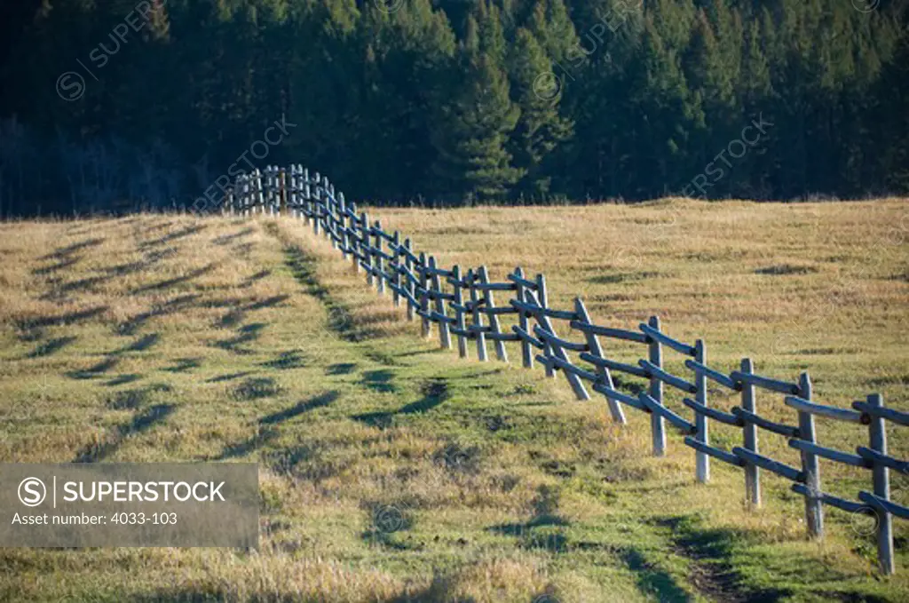 Fence in a pasture with pine trees in the background, Bozeman, Gallatin County, Montana, USA