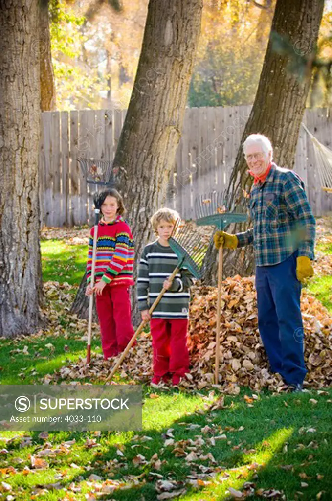 Senior man raking leaves with his grandchildren in a lawn, Bozeman, Gallatin County, Montana, USA