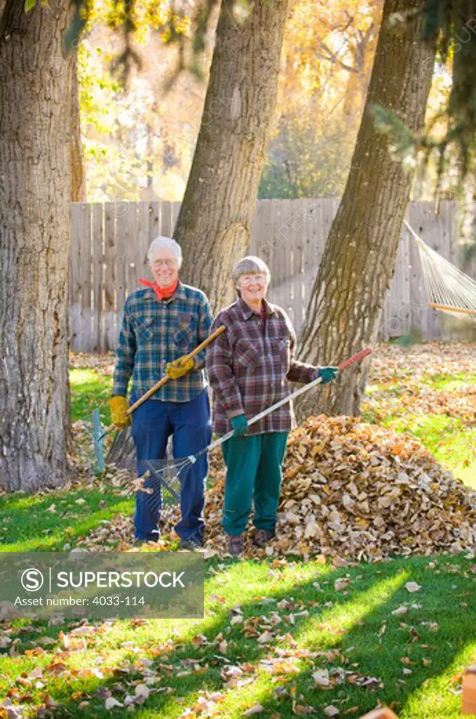 Senior couple raking autumn leaves, Bozeman, Gallatin County, Montana, USA