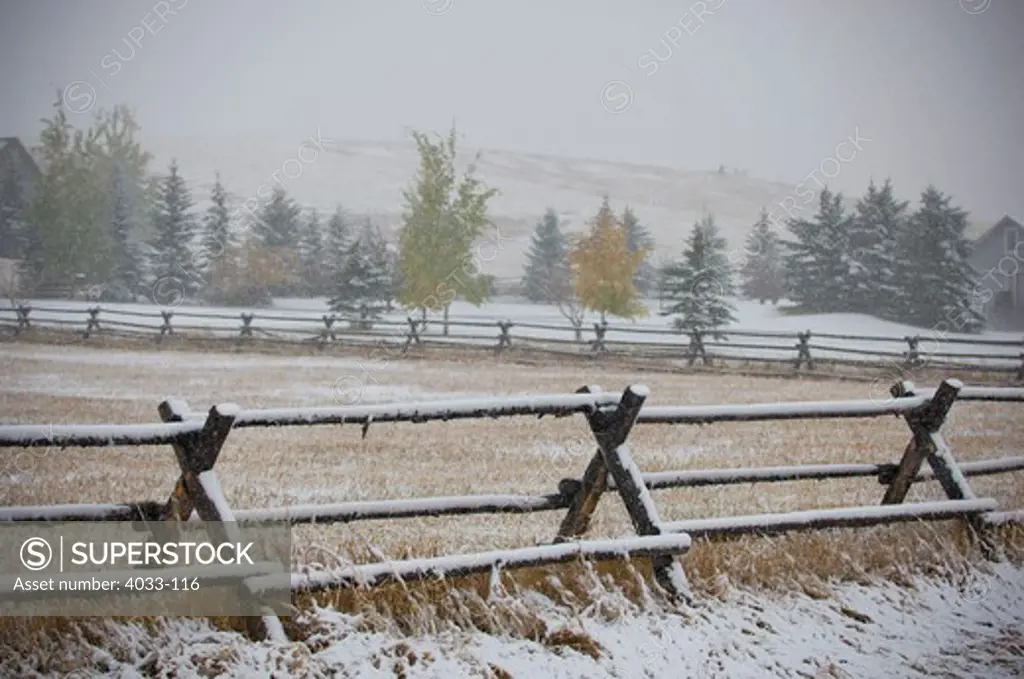 Snow covered Jack fence in a field, Bozeman, Gallatin County, Montana, USA