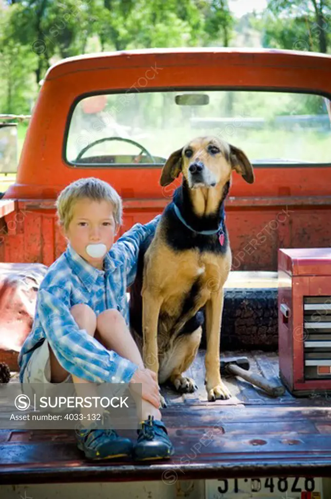 Boy sitting on a pick-up truck with his dog, Bozeman, Gallatin County, Montana, USA