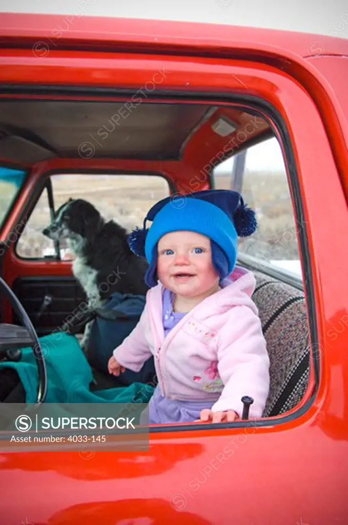 Baby girl in a pick-up truck with a dog, Bozeman, Gallatin County, Montana, USA