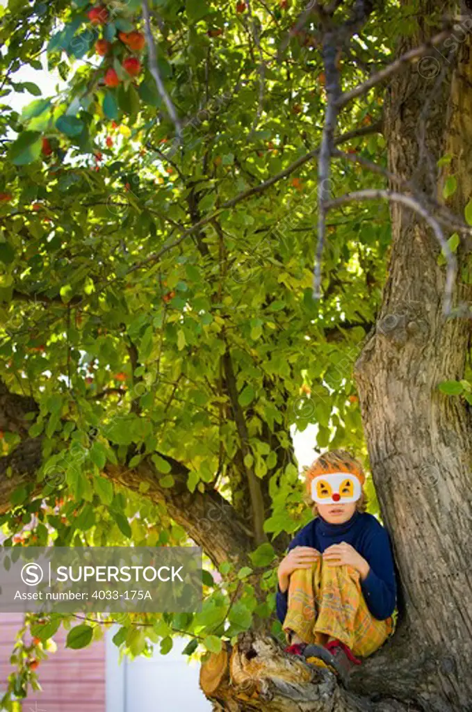 Boy wearing clown mask and sitting on a tree, Bozeman, Gallatin County, Montana, USA