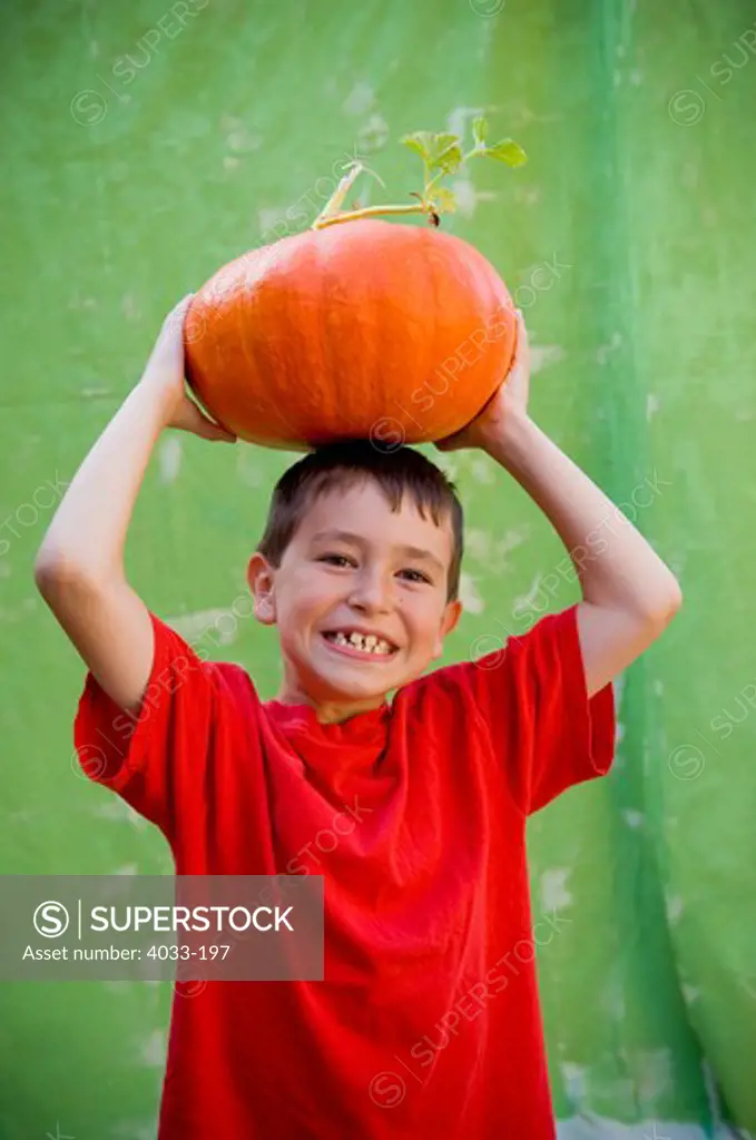 Boy carrying a pumpkin on his head, La Jolla, San Diego County, California, USA