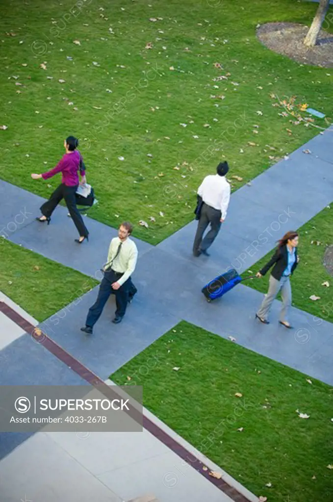 High angle view of business executives walking on a crossroad, La Jolla, San Diego County, California, USA