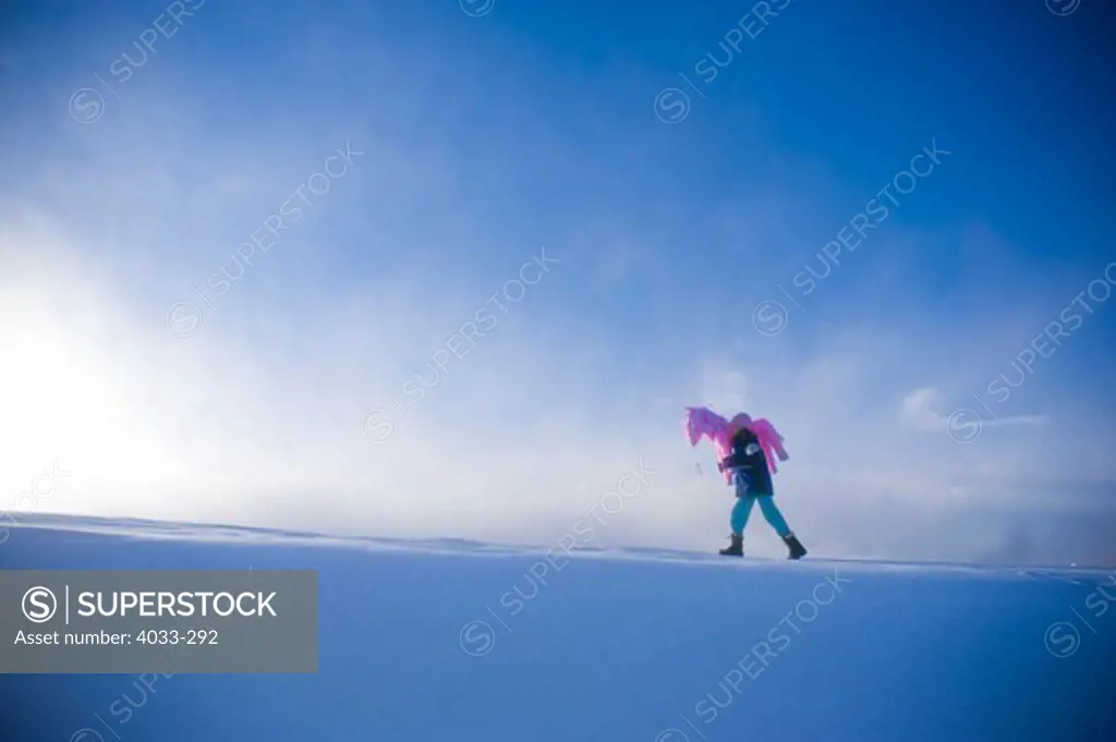 Girl carrying a pink pony pinata, Bozeman, Montana, USA