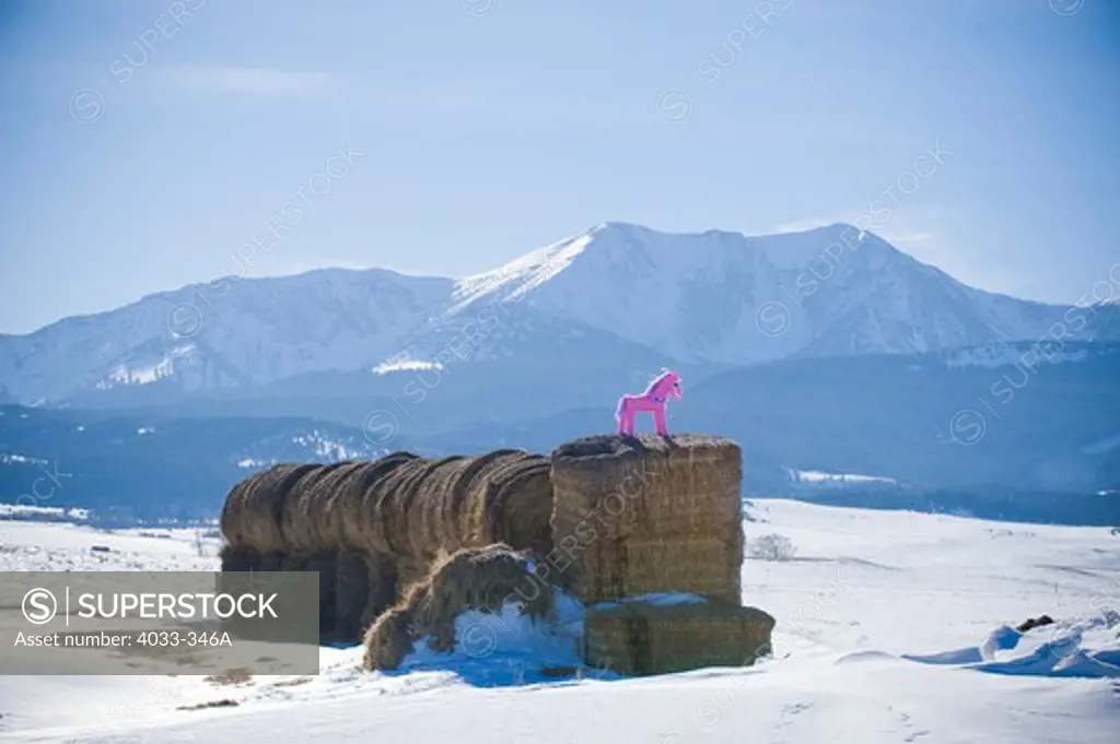 Pink pony pinata on a haystack, Bridger Mountains, Bozeman, Montana, USA