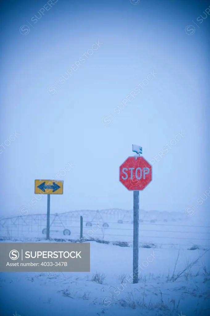 Road signs in a snow covered field, Bozeman, Montana, USA