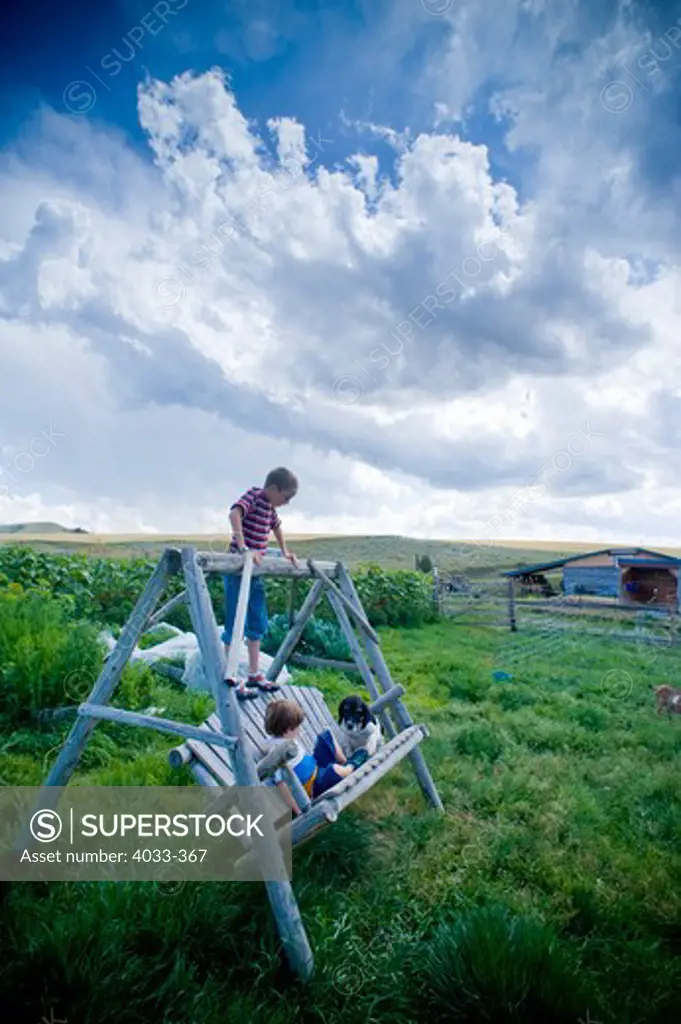 Boys and a dog on a porch swing, Bozeman, Montana, USA