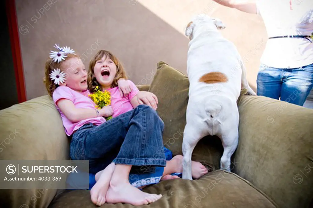 Two girls laughing and playing with a bulldog, San Diego, California, USA