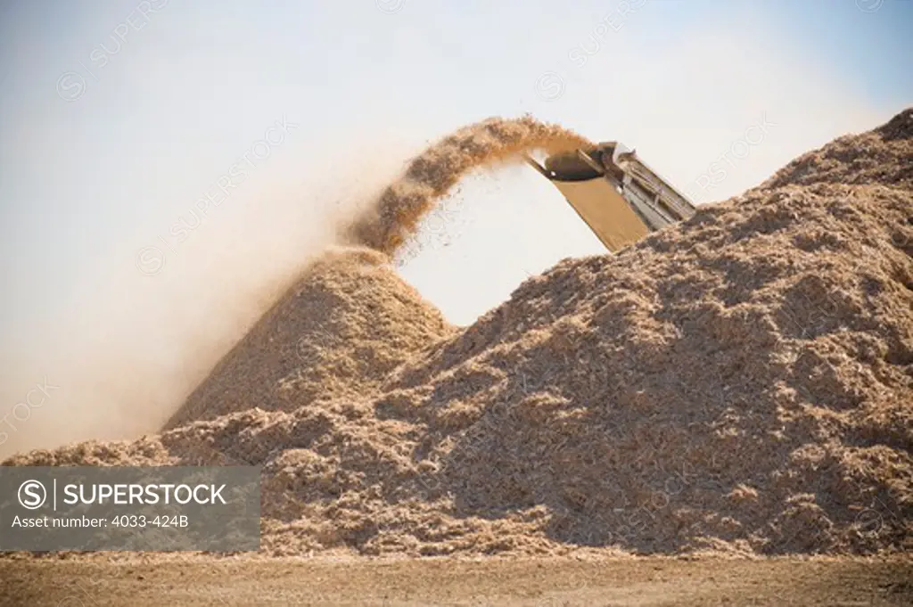 Wood products being processed into wood chips