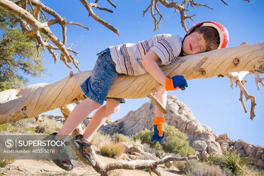 Boy sleeping on a tree branch, Joshua Tree National Monument, California, USA