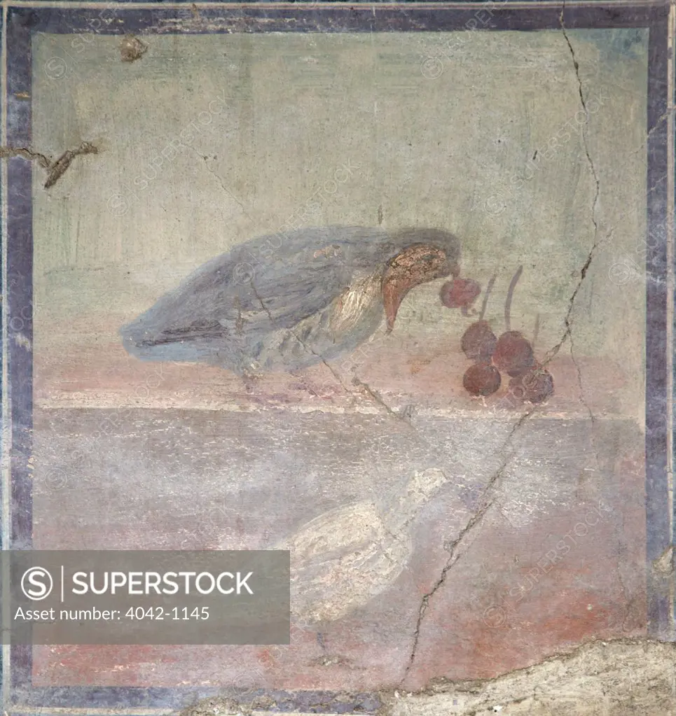 Fresco of Partridge eating crabapples, Italy, Naples, Herculaneum, House of the Grand Portal