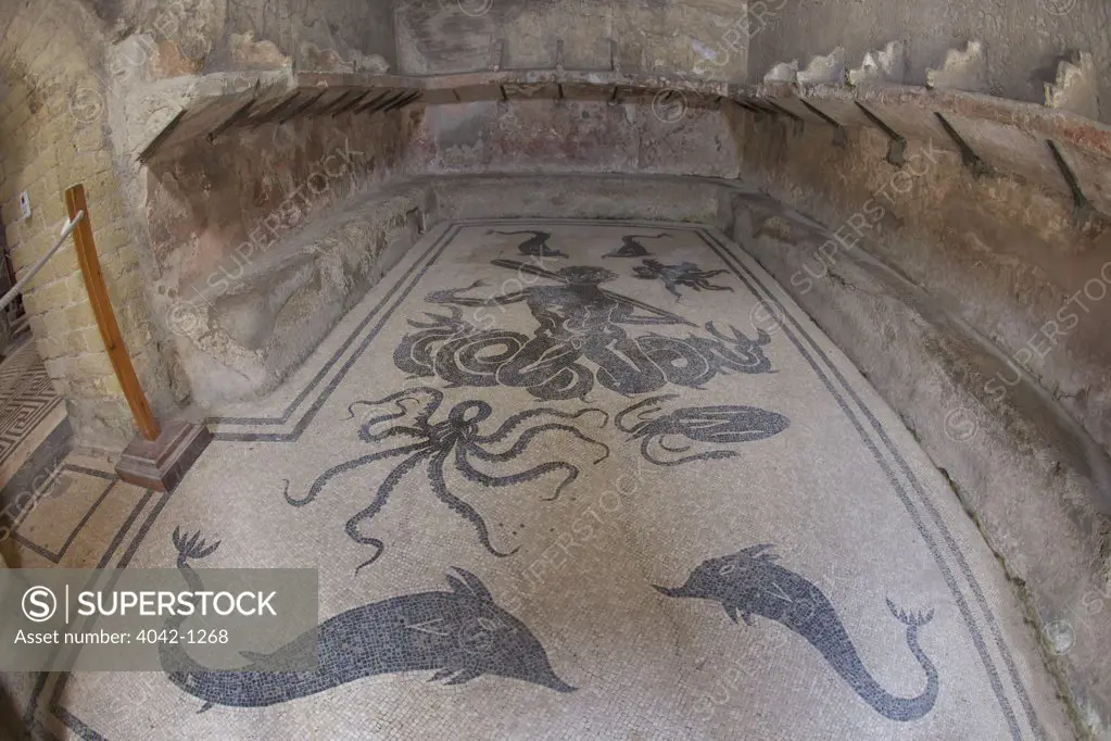 Italy, Campania, Bay of Naples, Neapolitan Riviera, floor of tepidarium in Roman central baths, mosaic depicting Triton surrounded by dolphins
