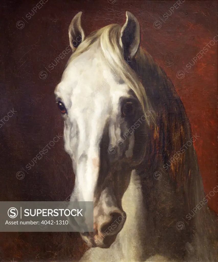Head of a White Horse by Theodore Gericault, France, Paris, Musee du Louvre