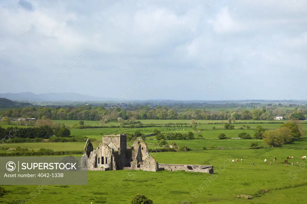 Ruins of an abbey, Hore Abbey, Cashel, County Tipperary, Munster, Republic of Ireland