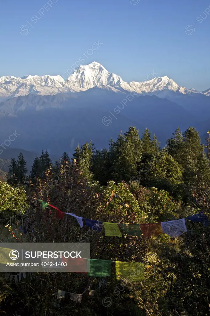 Prayer flags with mountain range in the background, Dhaulagiri, Annapurna Sanctuary, Himalayas, Nepal