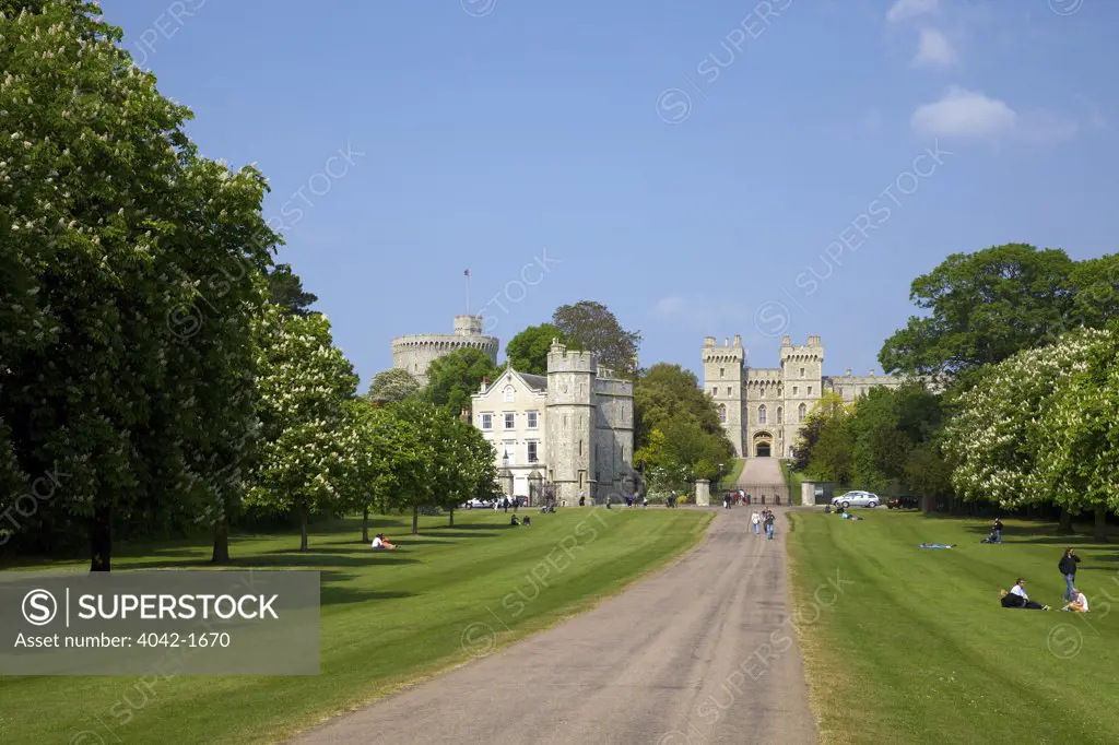 Path leading to a castle, Windsor Castle, Windsor Great Park, Berkshire, England
