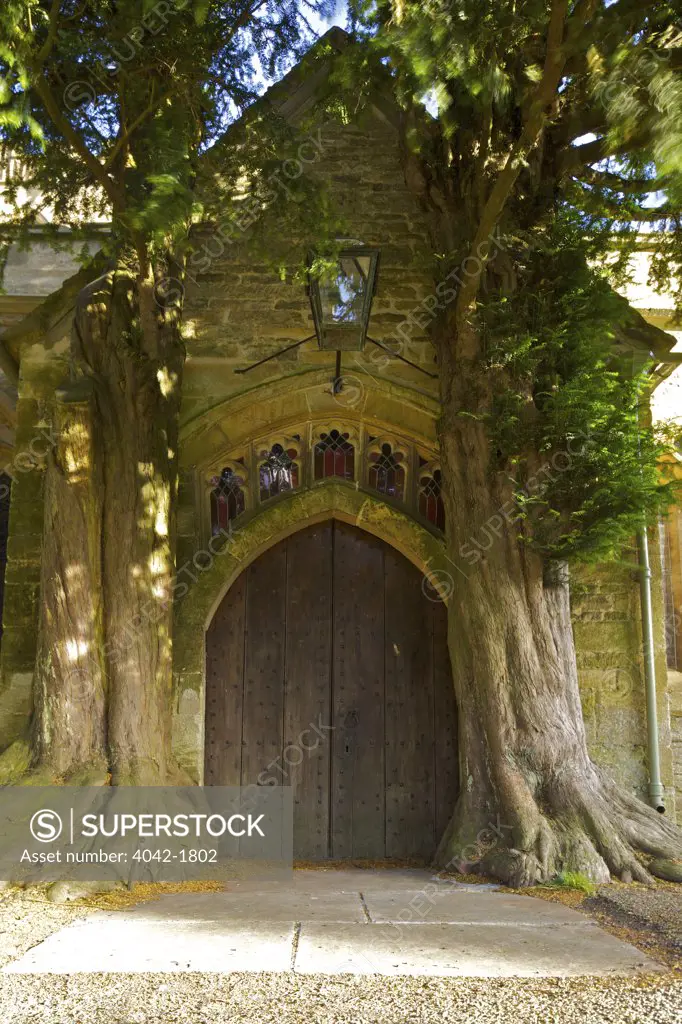 UK, England, Cotswolds, Gloucestershire, Stow-on-the-Wold, St. Edward`s Church with ancient yew trees growing into north porch