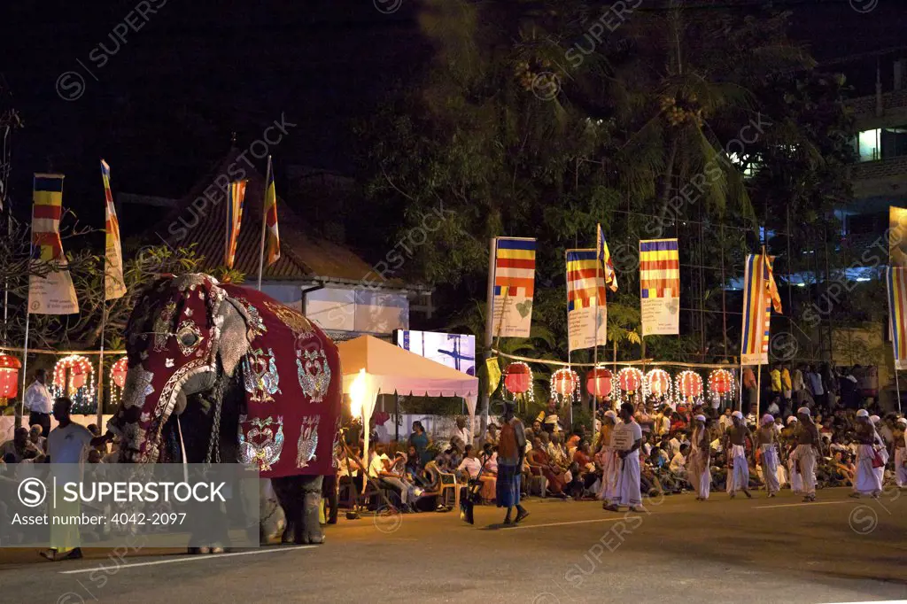 Sri Lanka, Colombo, Ceremonial elephant in the Navam Maha Perahera