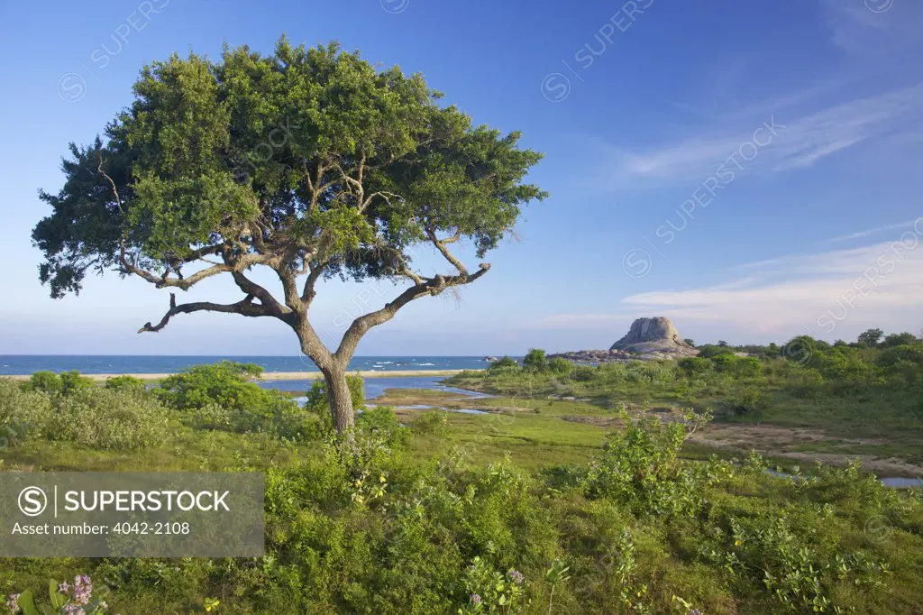 Sri Lanka, Yala National Park, Coastal landscape