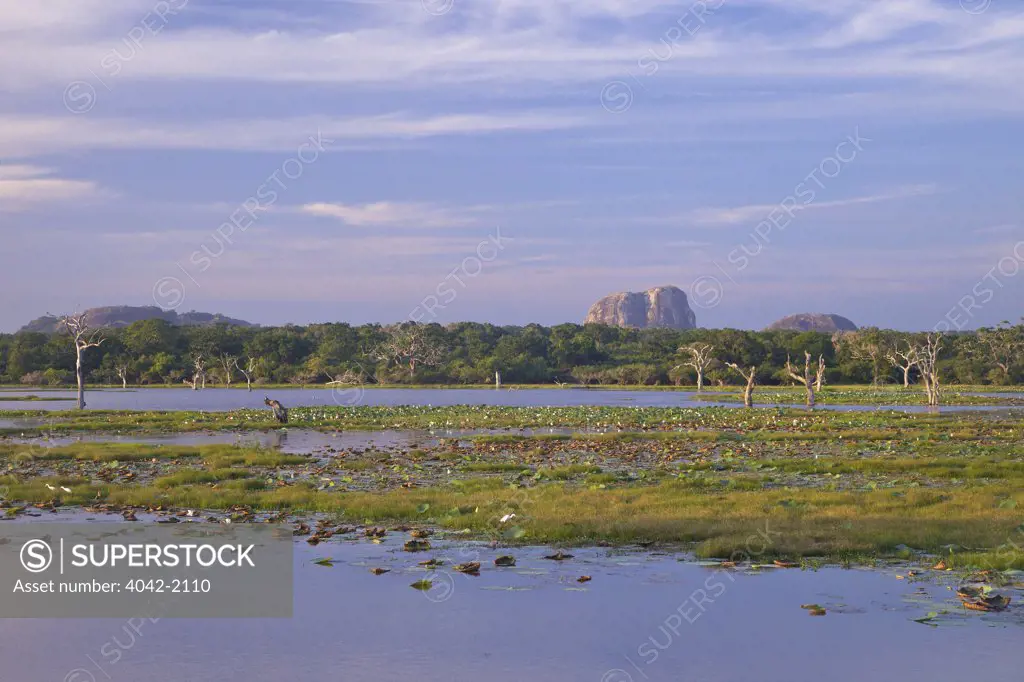 Sri Lanka, Yala National Park, Lake and view of Elephant Rock in late afternoon