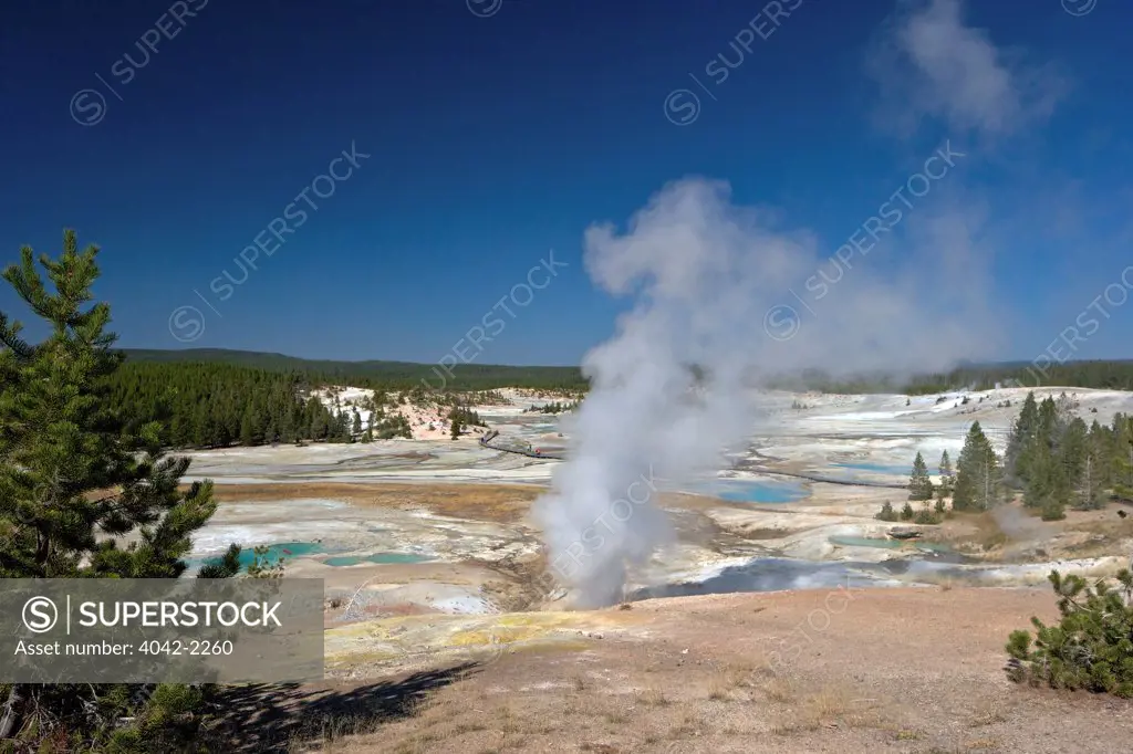 USA, Wyoming, Yellowstone National Park, Norris Geyser Basin, Black Growler Steam Vent in Porcelain Basin